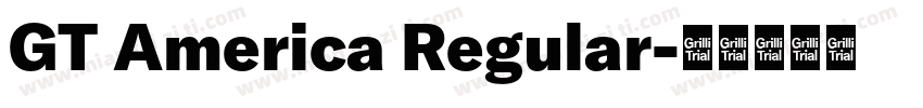 GT America Regular字体转换